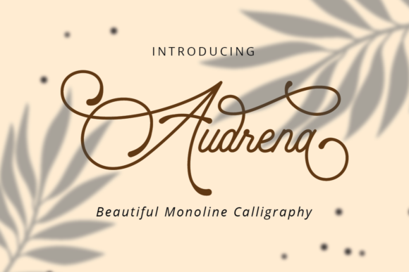 Audrena Font: Elegance in Every Curve