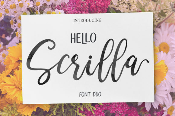 Hello Scrilla Script Font: A Versatile Choice for Modern Design