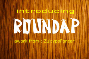 Roundap: A Bold Display Font for Strategic Communication and Creative Expression