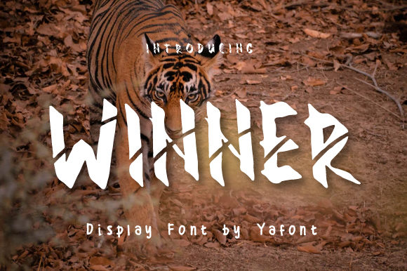 Winner: A Bold and Trendy Display Font That Elevates Your Designs